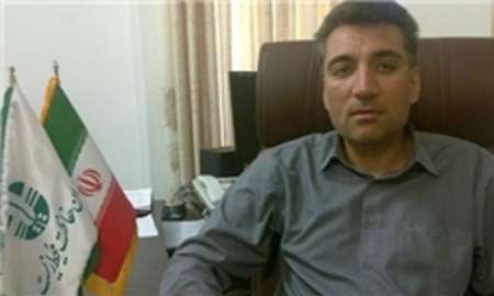 صدور پروانه شکار پرنده در کهگیلویه و بویراحمد آغاز شد