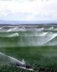 آبیاری قطره ای عاملی برای تهویه موثر خاک