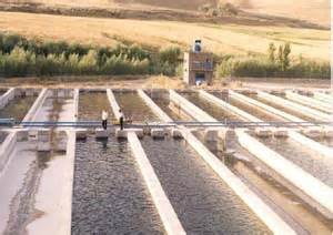 گسترش استخرهای پرورش ماهی خاكی كوچك در منطقه سیستان