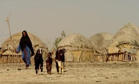 خسارت بیش از 2 میلیارد ریال بارندگی‎های اخیر به عشایر سیستان