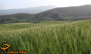 نماد سنندج جانی دوباره گرفت