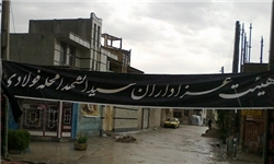 الگو گرفتن از قیام امام حسین (ع) موجب پیروزی انقلاب شد