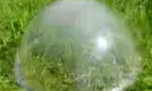 خروج آب از گیاهان فقط با یک ظرف پلاستیکی + فیلم