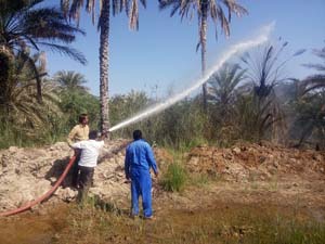 مهار آتش سوزي در روستاي سرخنگي شهرستان بندرعباس