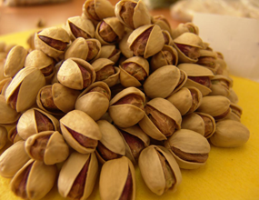 اقتصادی بودن پسته تاثیرگذار در توسعه باغات این محصول در آذربایجان شرقی