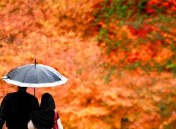 روزهای خیس پاییزی در استان چهارمحال و بختیاری