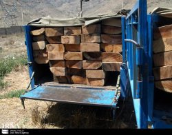 باند قاچاق چوب‌آلات جنگلی در اردبیل متلاشی شد