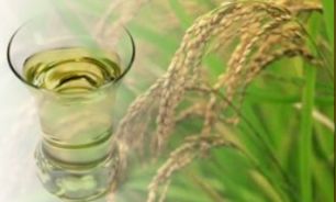 در مورد روغن سبوس برنج چه می دانید؟