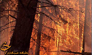 حبس در انتظار متخلفانی که به عمد باعث آتش سوزی منابع طبیعی می‌شوند