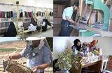رفع معضل بیکاری با جذب سرمایه گذاران بخش خصوصی ‏