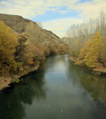 پیش بینی هواشناسی از عبور امواج کم دامنه بر فراز استان