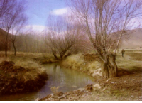روستای «فش» فرصتی طلایی برای سرمایه گذاران حوزه گردشگری است