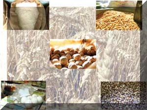 خرید بیش از 22 هزار تن محصولات کشاورزی در هرمزگان