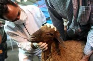 پژوهش، راهی برای بالا بردن سلامت جامعه