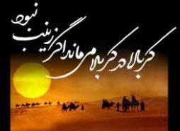 وقتی امام زمان(عج) حرم عمه اشان را جاروب می کنند