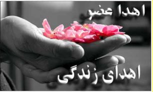 "وزارت بهداشت" تنها نهاد ناظر بر اهداء عضو است