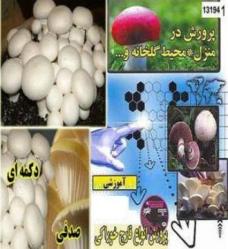 نگهداری 80 گونه‌گیاهی و جانوری در موزه حیات وحش سیستان و بلوچستان