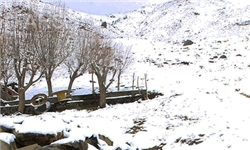 بیشترین میزان بارش برف در شهرستان نیر
