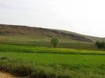 بازگرداندن بیش از 10 هزار هکتار از زمين ها و مراتع ملي در استان چهارمحال و بختياري