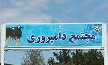 صنعت دامپروری در حال نحیف شدن است