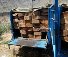 کشف 257 اصله چوب قاچاق در شهرستان لاهیجان