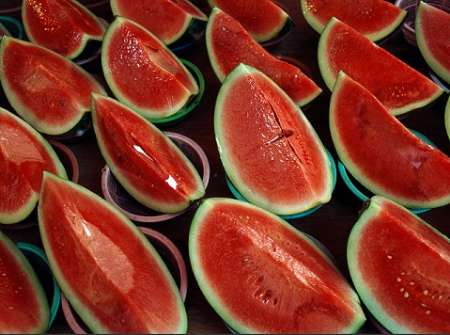 هفت هزار تن هندوانه ویژه شب یلدا درخوزستان برداشت شد