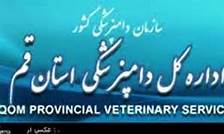 افزایش ۴۵ درصدی حقوق پرسنل در هیئت دولت مطرح شده است