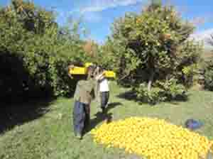شهری که با سرمای زمستانی غریبه است