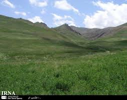 سالانه 79 هزار تن علوفه در مراتع مازندران  منطقه نوشهر تولید می‌شود