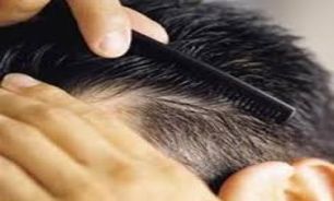 بور‌ها مو‌های پرپشت‌تری دارند