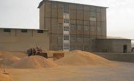 ذخیره سازی  15 هزار تن گندم در سیلو های استان