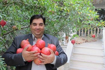 یاقوتهایی که خانه ای سست دارند/ توجیه جالب مسئولان وزارتخانه برای گرانی کود