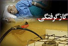 نجات یافتن هشت مصدوم دچار گازگرفتگی در استان چهارمحال و بختیاری