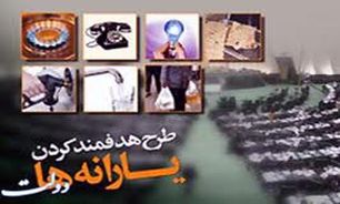 هدفمند کردن یارانه‌ها به نتیجه مطلوبی نرسیده است / ضرورت بازبینی قیمت حامل‌های انرژی