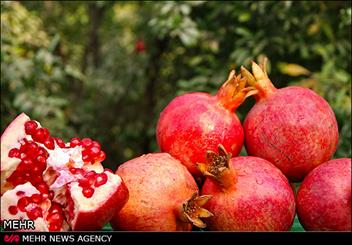 یاقوت های که به روستای "دورک اناری" رونق بخشیده است/ اشتغال مردان و زنان روستا