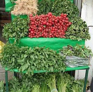کشت سبزیجات برگی در بیش از 400 هکتار مزارع فارس