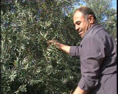 کشاورزی که خستگی را خسته می کند