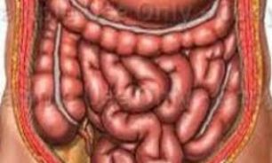با این سه راهکار از "ژباردیا" پیش گیری کنید