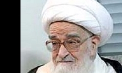فتوای آیت الله صافی در خصوص اهدای عضو بیمار مرگ مغزی تکذیب شد
