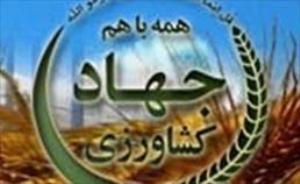 هشدار جهاد کشاورزی خراسان رضوی نسبت به سرمازدگی باغات