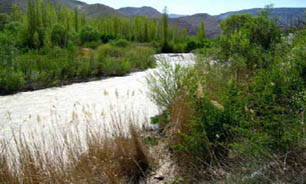امروز کجابريم؟