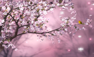 امید روزهای خوب در بهار