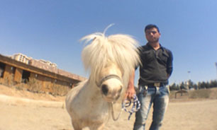 اسب حیوانی نجیب یا عجیب! + فیلم