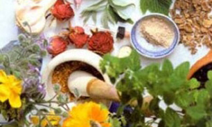 داروی گیاهی ضد قارچ در مسیر ورود به بازار دارویی