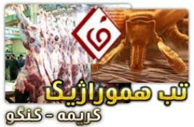 هشدار افزایش کنه و خطر ابتلا به بیماری تب کریمه کنگو در دام‌ها