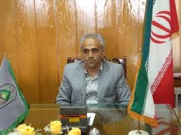 کشف 24 اصله کاتین از جنس درختان سپیدار در قائمشهر