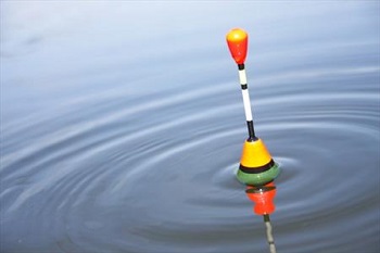 ماهیگیری در یکی از میدان های تهران / عکس