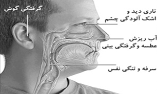 علائم حساسیت‌های فصلی + فیلم