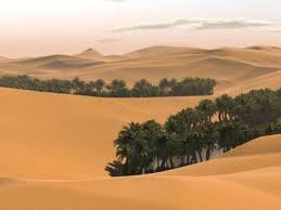 طرح ترسيب کربن در 15 استان کشور اجرايي مي شود