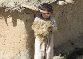 اکران فیلم «چیدن سپیده دم» از کردستان در جشنواره بین‌المللی فیلم ایتالیا